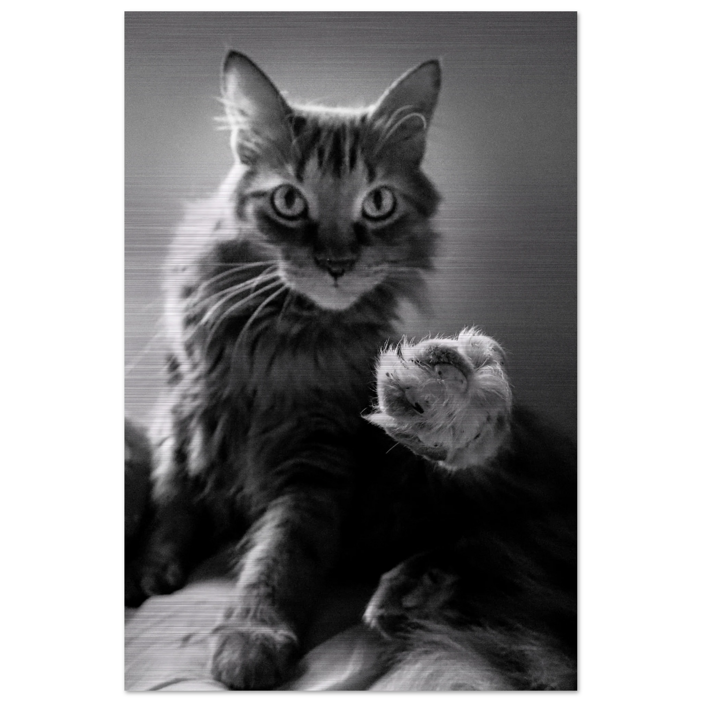 201f133f-bd82-42e2-80cd-ce2eebb14e1c