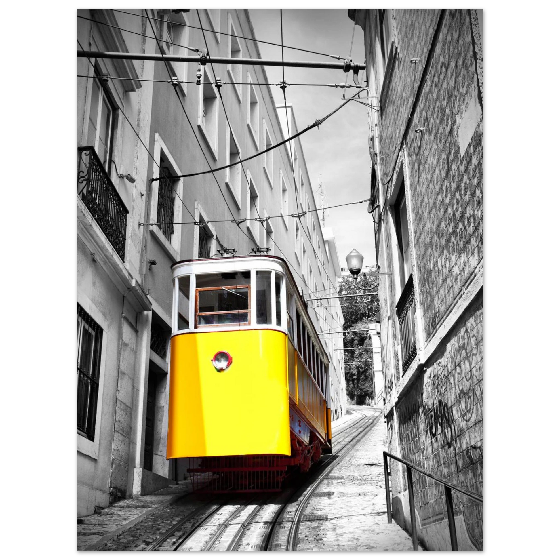 2e0a8010-2373-4931-9f94-8521609e4c86