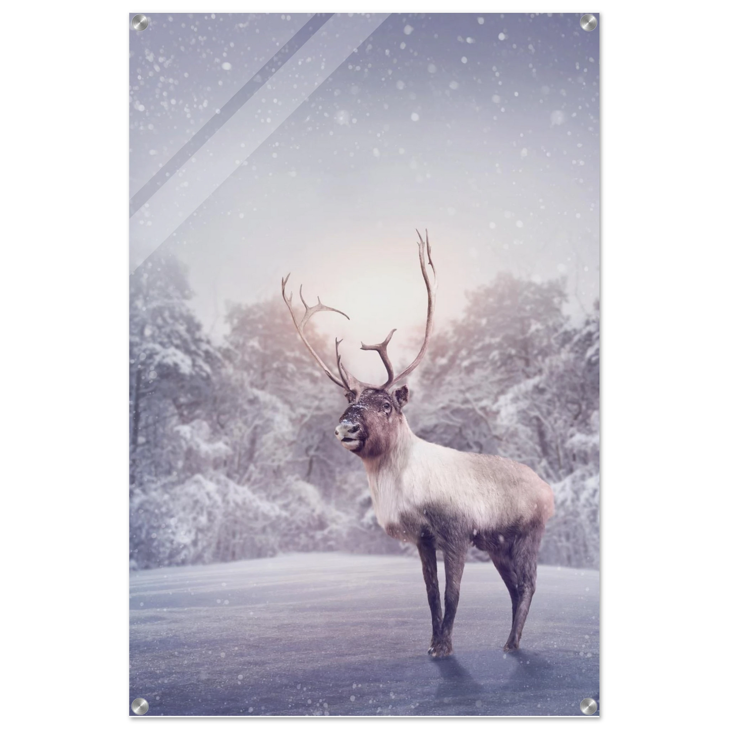 3707684d-8db2-49cb-970c-49801b5a67f1