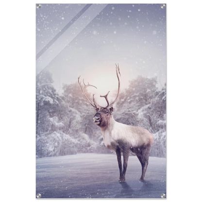 3707684d-8db2-49cb-970c-49801b5a67f1