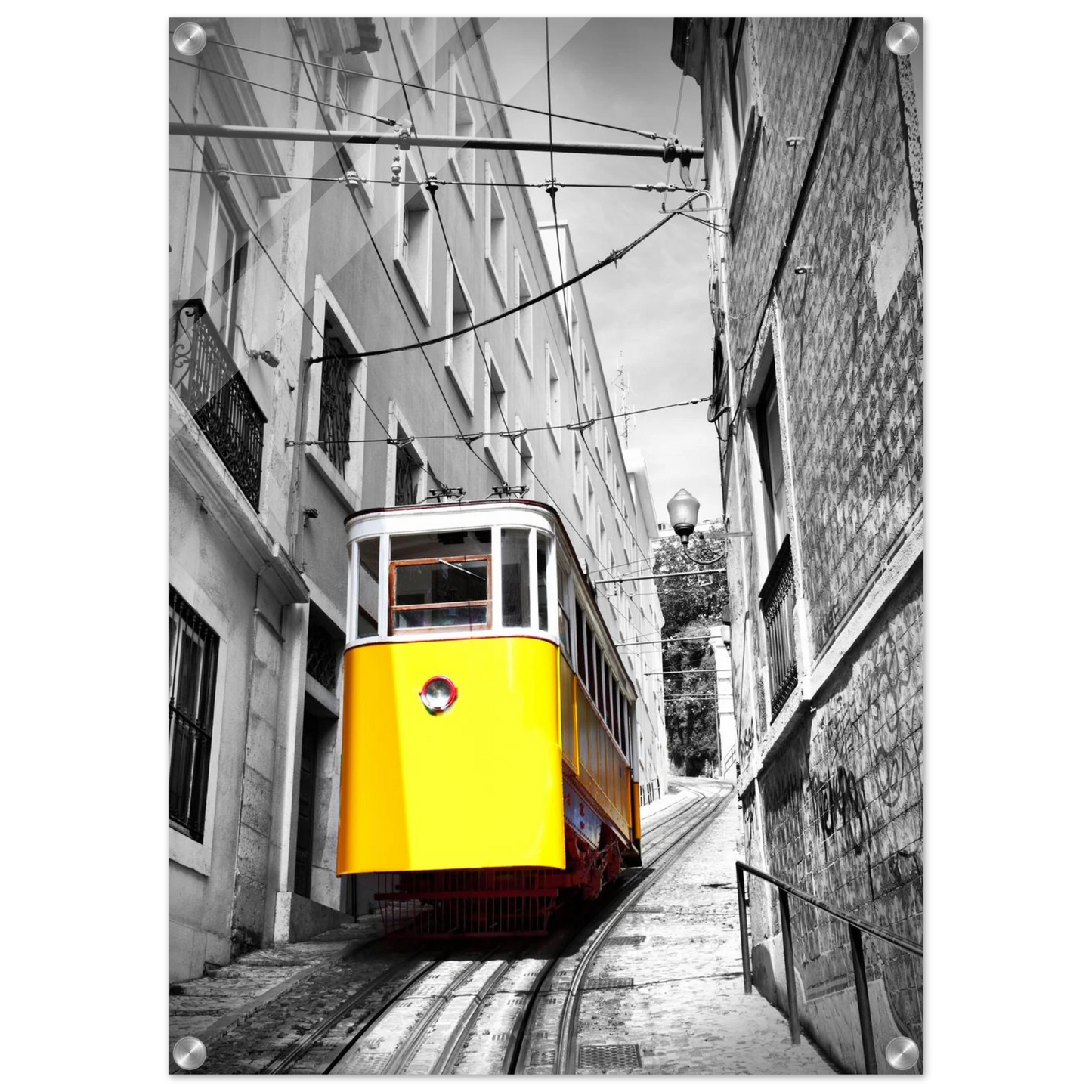 3b12224f-e96d-47b1-af6b-720a66255290