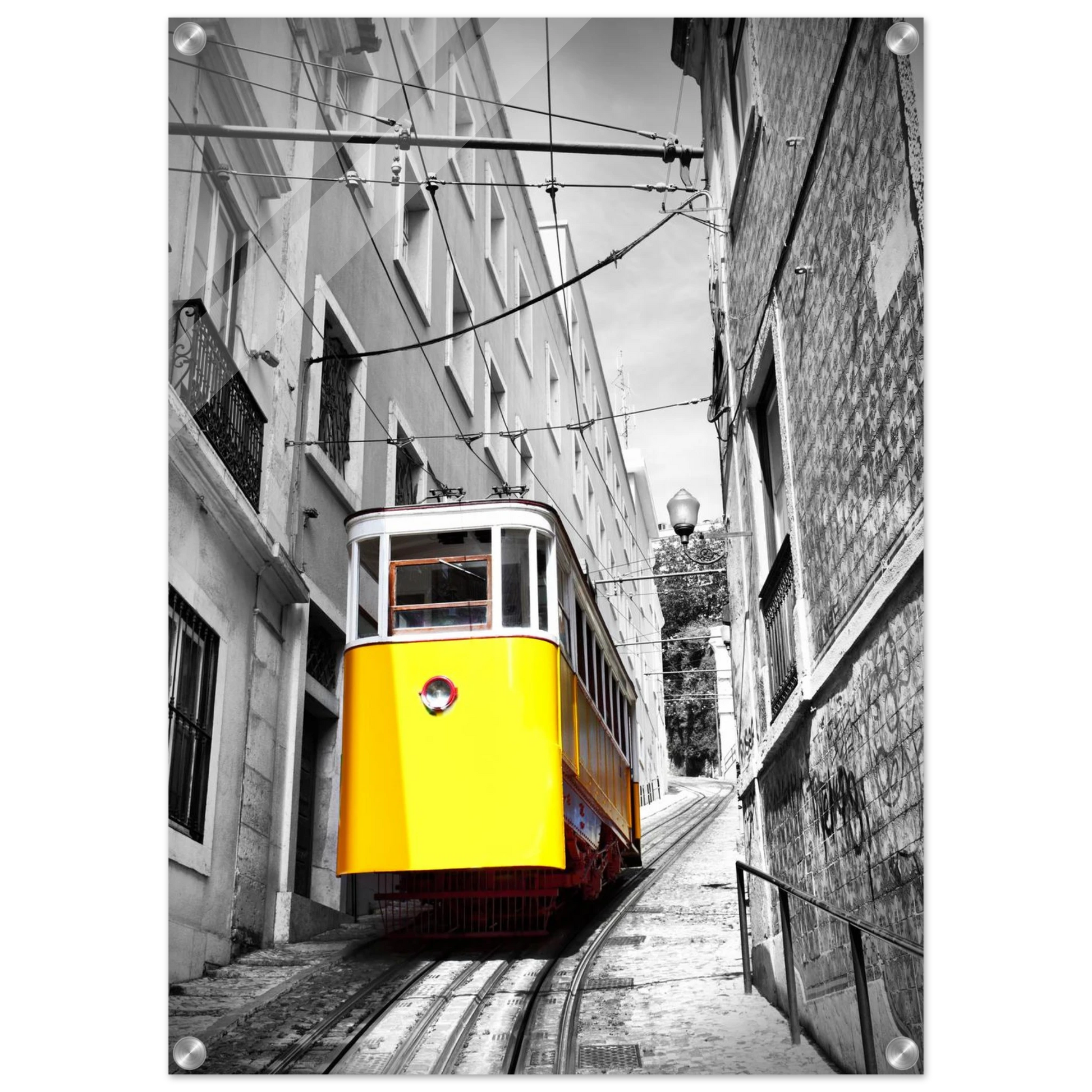 3b12224f-e96d-47b1-af6b-720a66255290