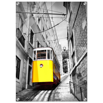 3b12224f-e96d-47b1-af6b-720a66255290