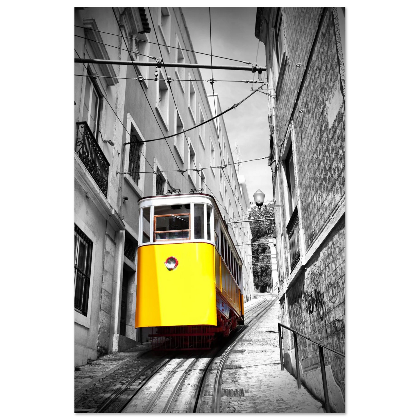 3e2d5fb2-e67f-4902-8c57-2ab4bca82c16