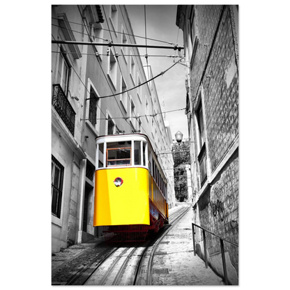 3e2d5fb2-e67f-4902-8c57-2ab4bca82c16