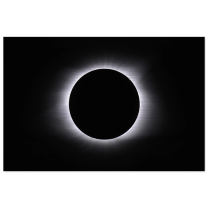 3e91584b-2c90-4259-bff4-d7aac2582648