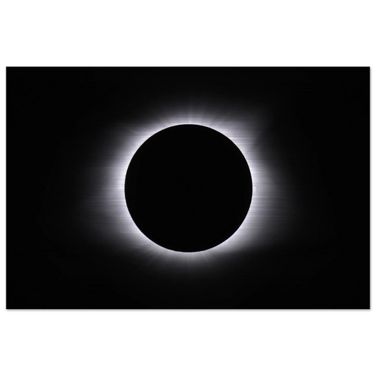 3e91584b-2c90-4259-bff4-d7aac2582648