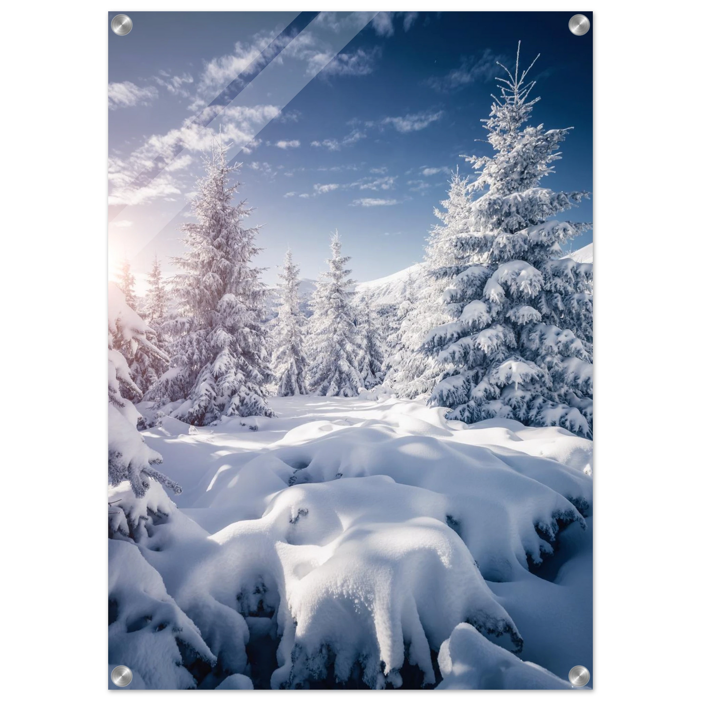 43fea9cb-5d9a-4af2-a181-58ac32fb7c08