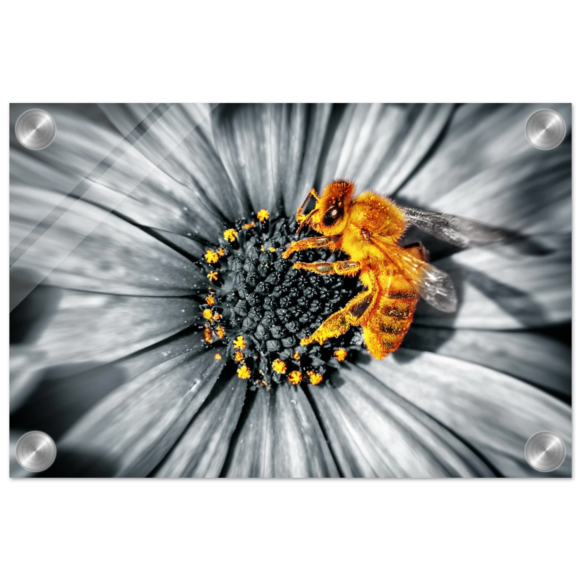 45519926-7f2e-4dbd-b2fa-d2cfcfccc2b6