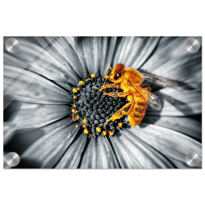 45519926-7f2e-4dbd-b2fa-d2cfcfccc2b6