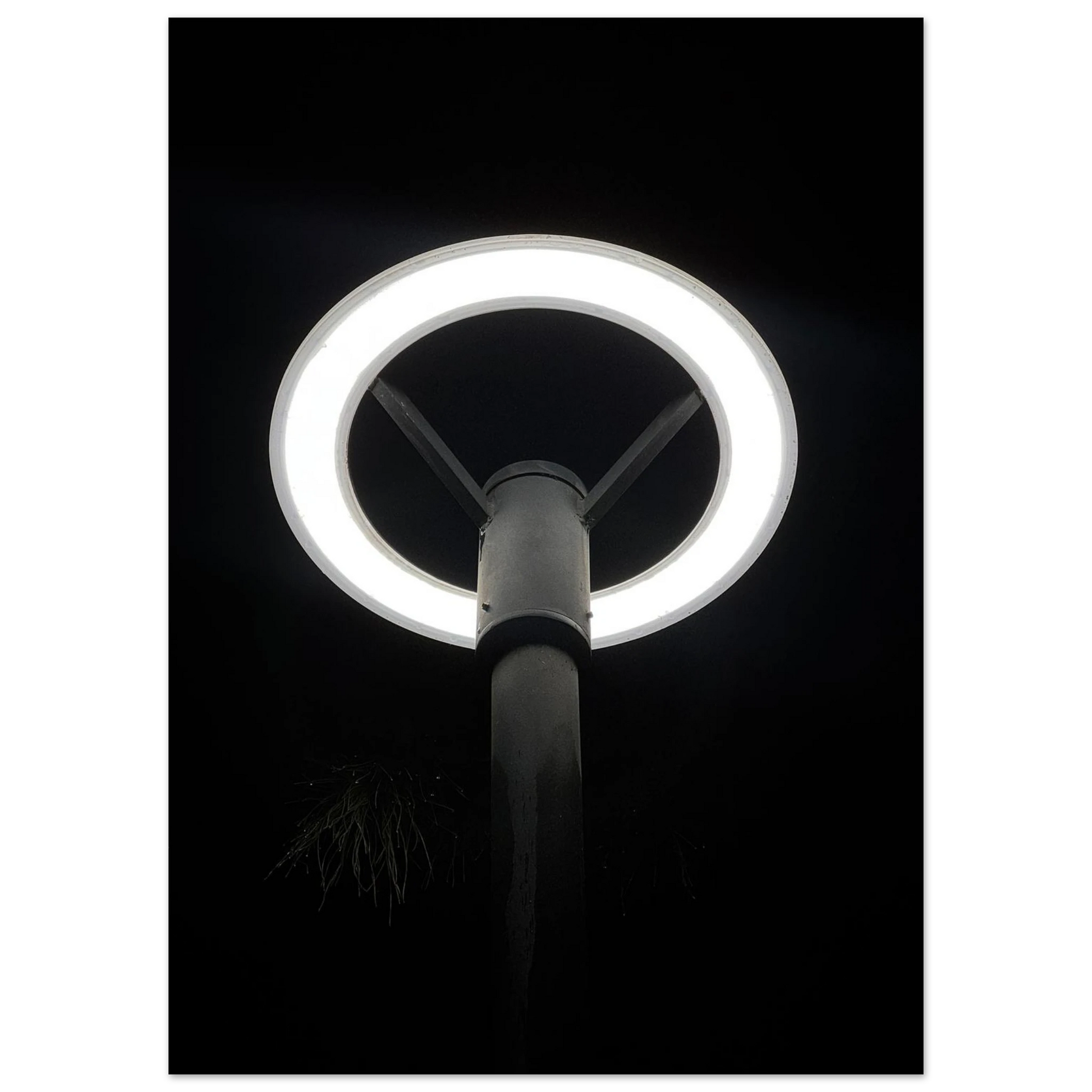 63f54a40-9b50-44ff-86a4-d0a34fcf86d7