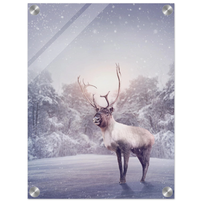 67014dfd-3ccd-457a-9f3e-6e9bbc0aa3c3