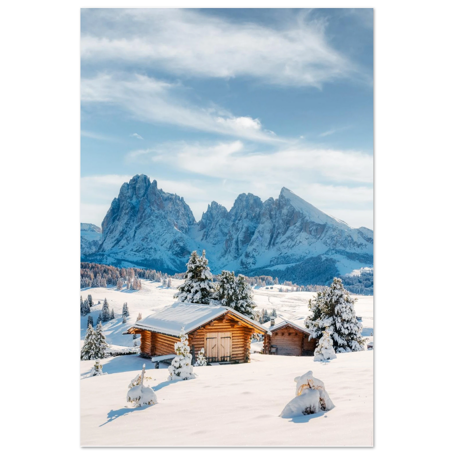 6bc2210a-e196-4194-a44b-06998782b35d