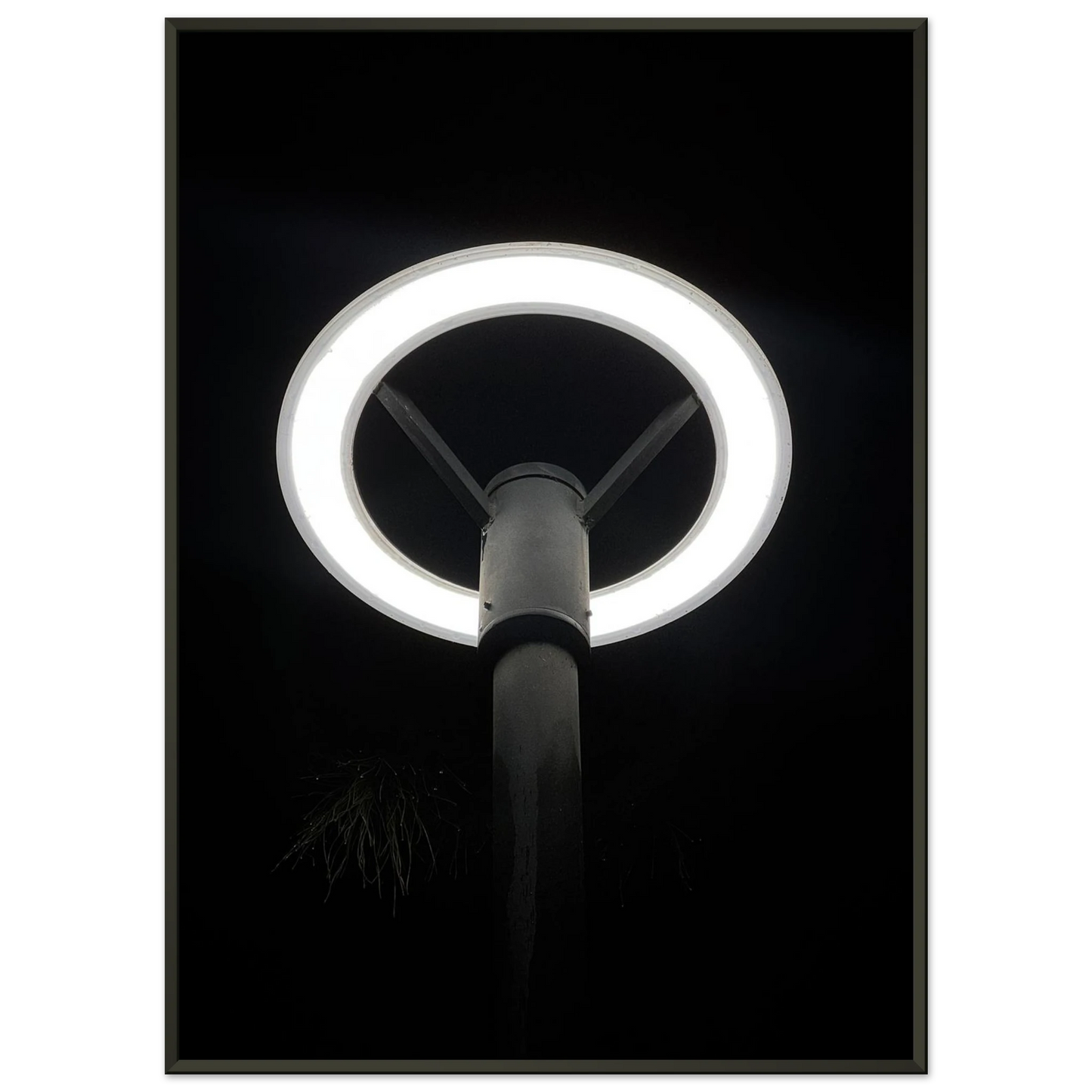 74b440e3-fab5-4114-9781-daf1c66d7af6