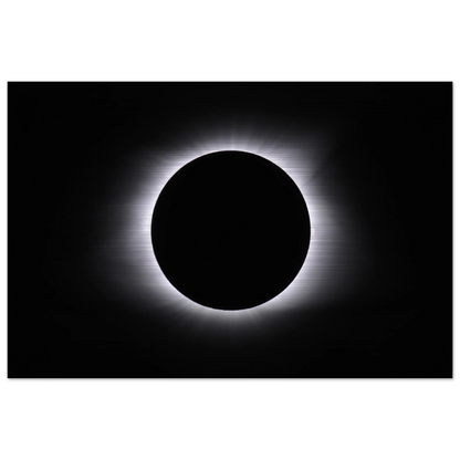 74ff194b-6d31-403b-8670-4ed3d679cc65