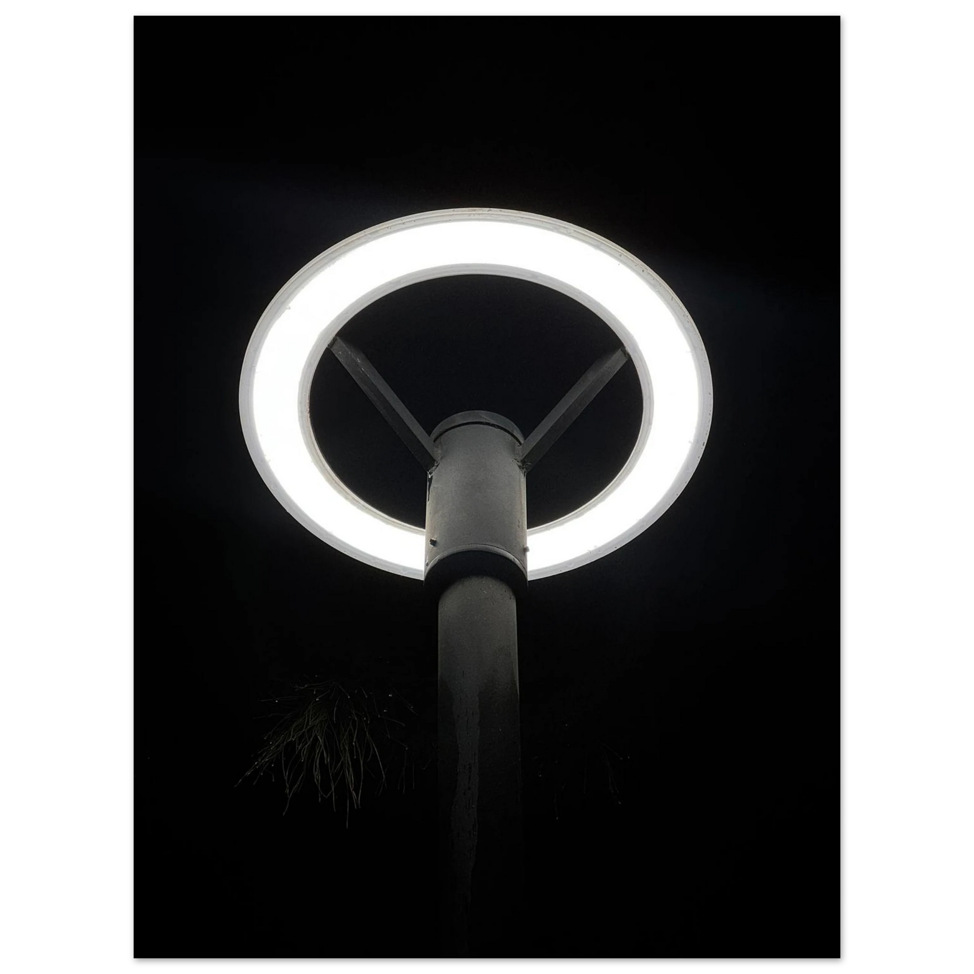 79bbcbdc-ad29-4d60-a52b-d5cd36fb0bfb