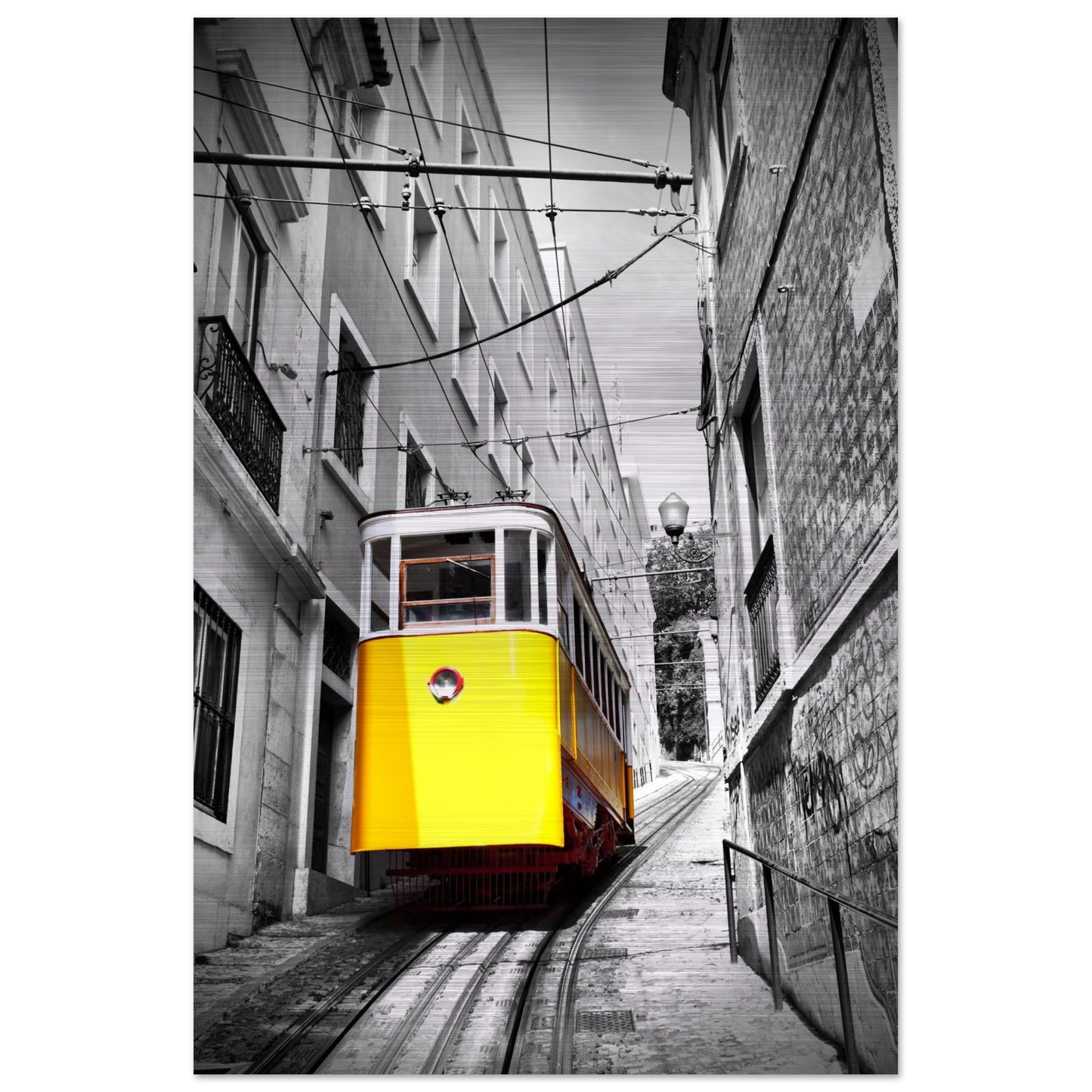 7e7a29d1-9d55-432c-b214-f97137dddeef