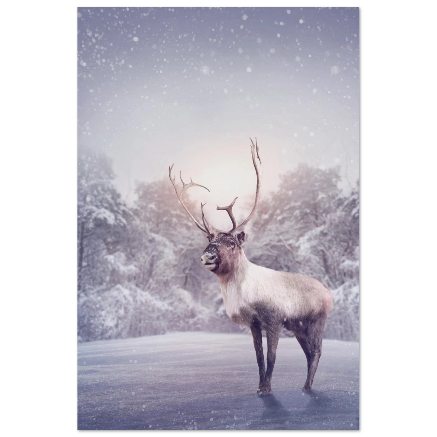 800066cd-bada-4048-aff3-2ccfc0d89948