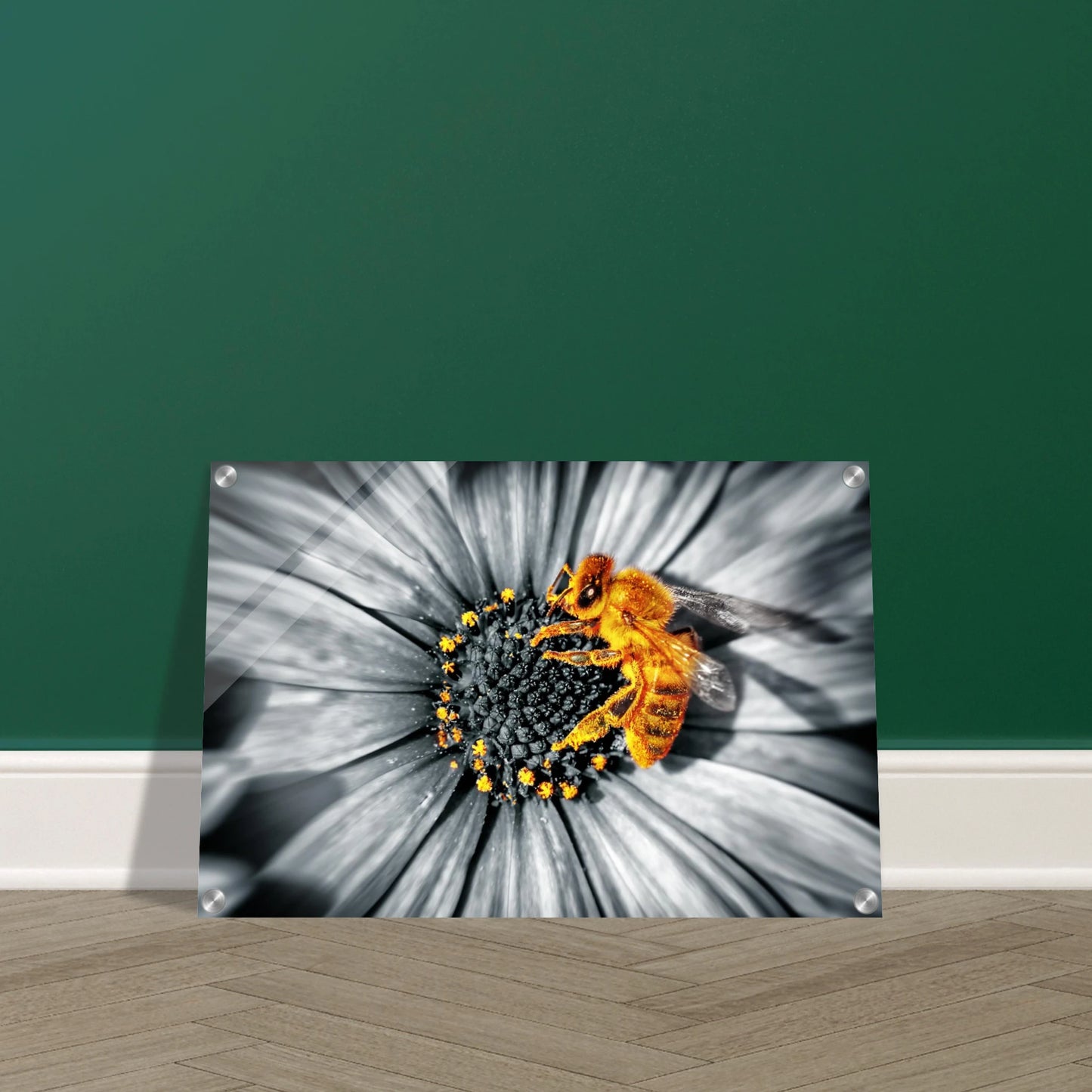 854f8956-5aac-4f23-924d-0843bab1ffc8