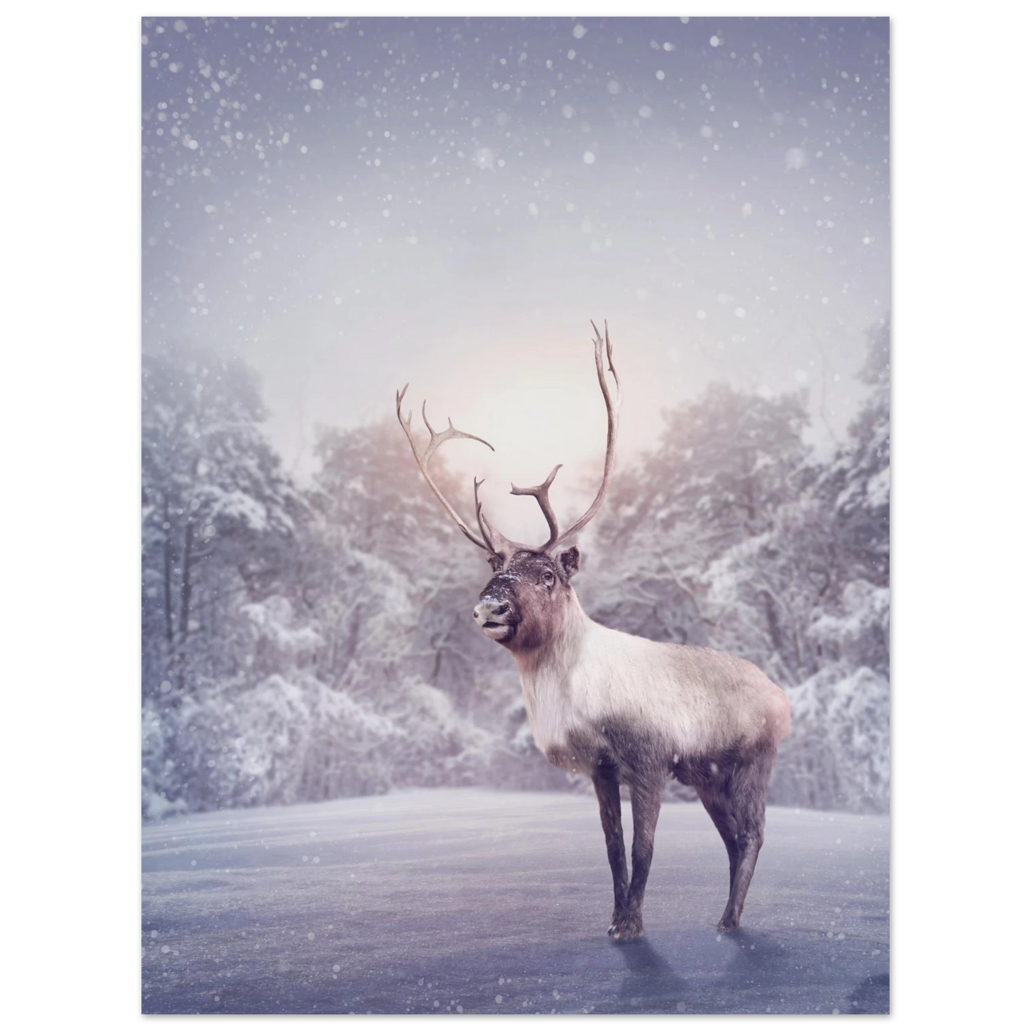 87961ac7-7991-451e-95bd-e8c0112ddad3