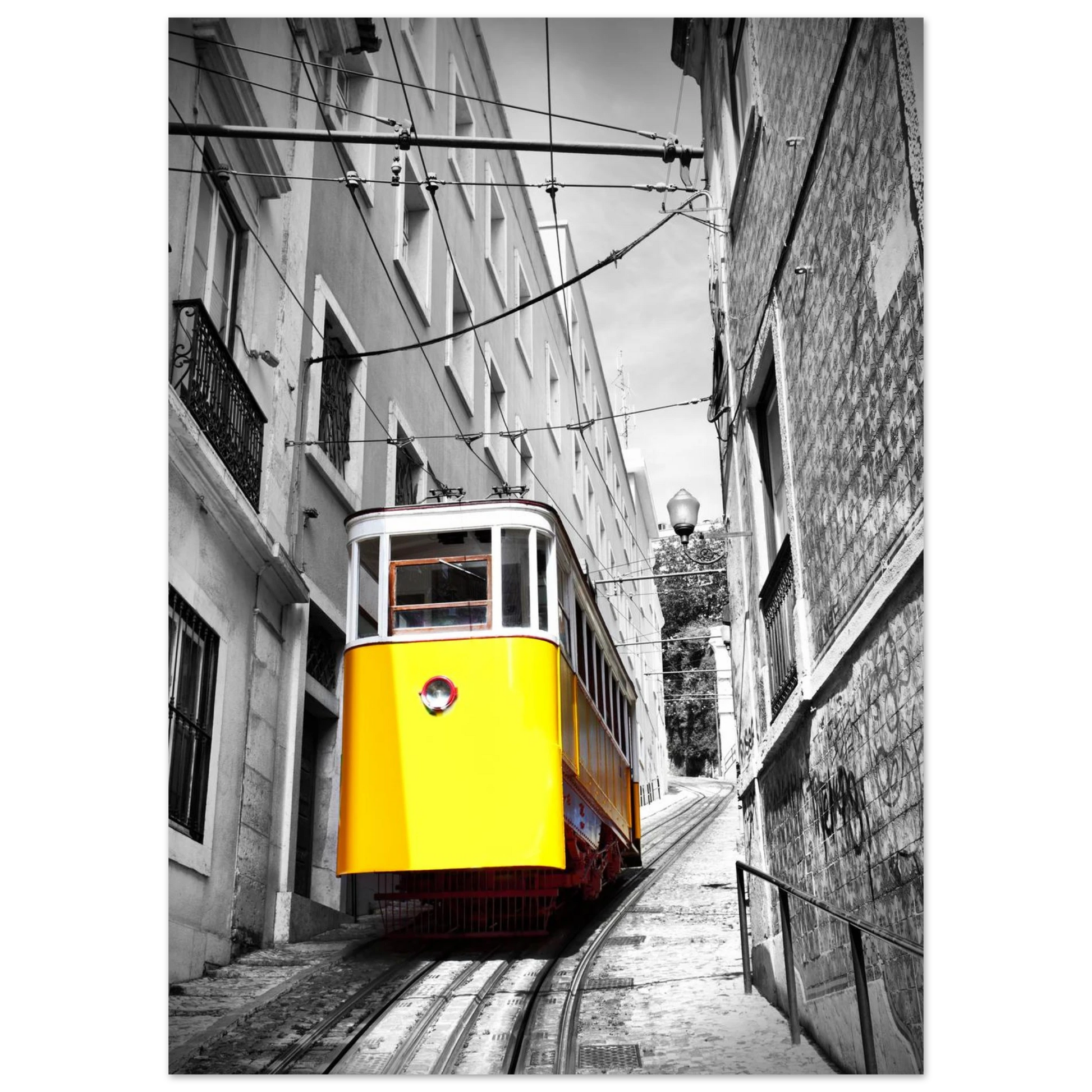 88346047-e6a7-415b-bece-a647c2458260