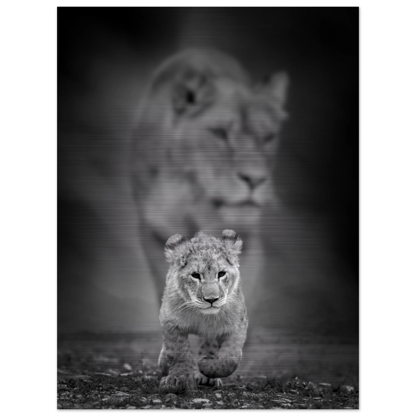 a8af5946-4c06-4a80-90e5-3808c6ddbe5b