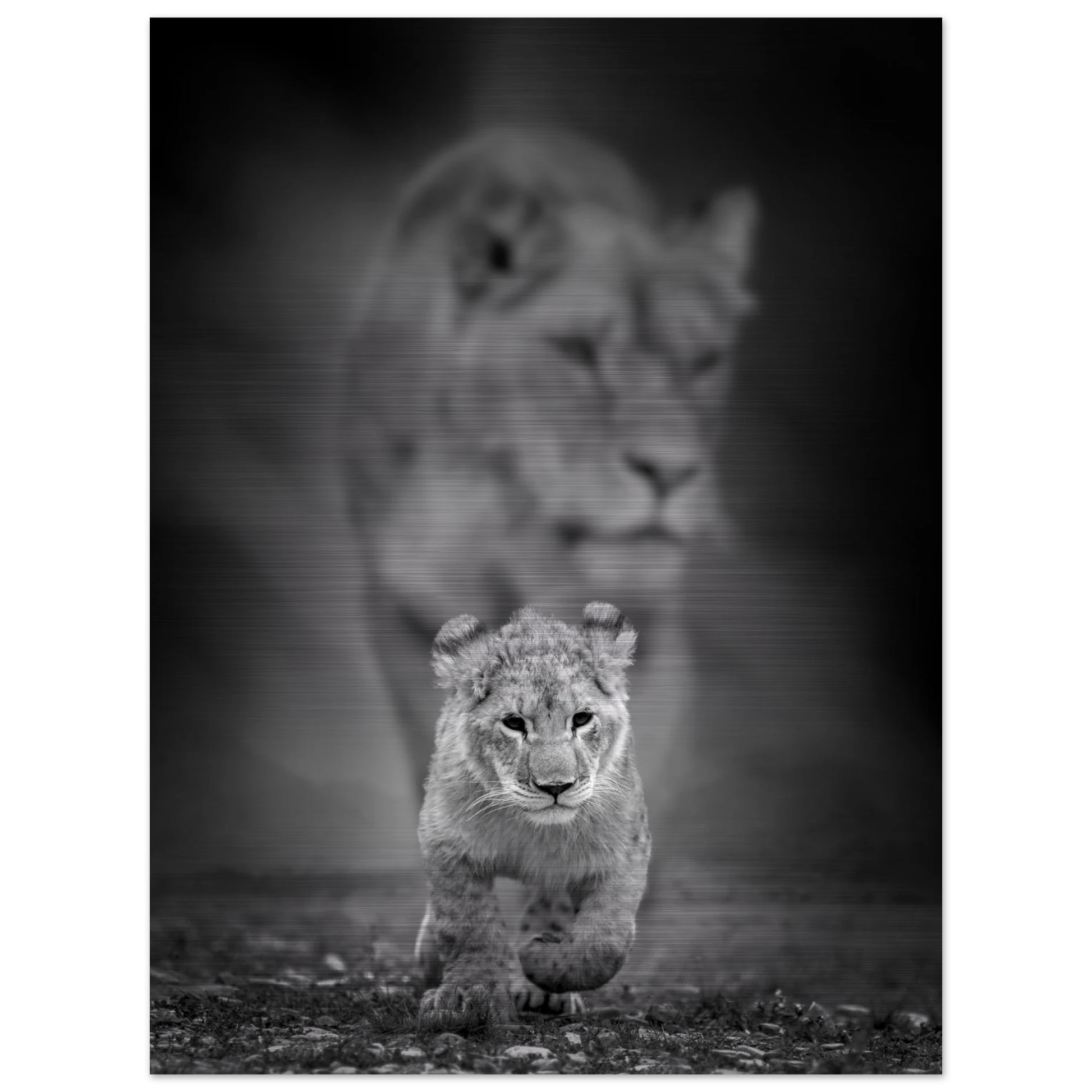 a8af5946-4c06-4a80-90e5-3808c6ddbe5b