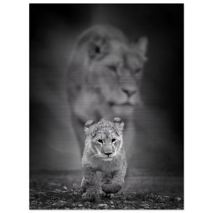 a8af5946-4c06-4a80-90e5-3808c6ddbe5b