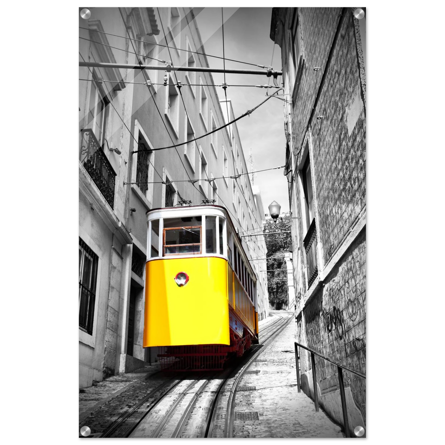 ad48301b-24cc-4e45-a8b7-ae32d4c8cf11