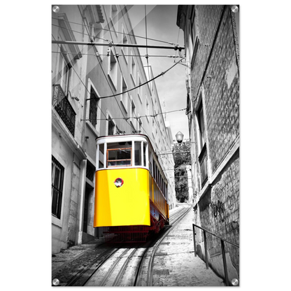 ad48301b-24cc-4e45-a8b7-ae32d4c8cf11