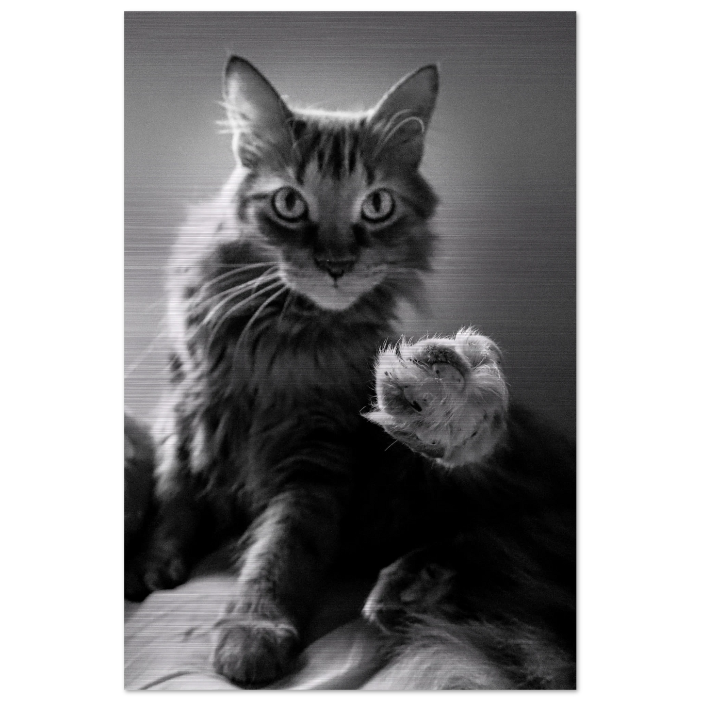 ad6e5c90-8c49-4d19-9368-744a472c5432