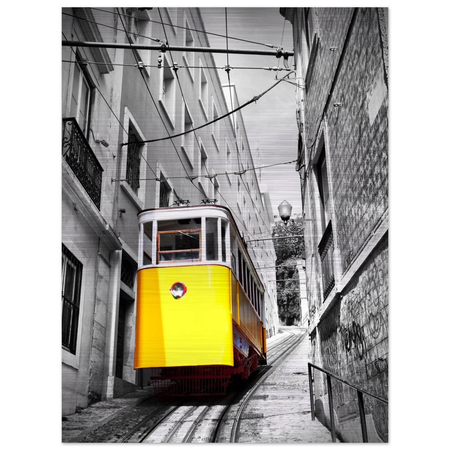 afd76293-99b7-4a56-bb58-3f15d2a54b29