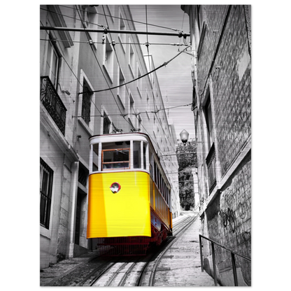 afd76293-99b7-4a56-bb58-3f15d2a54b29