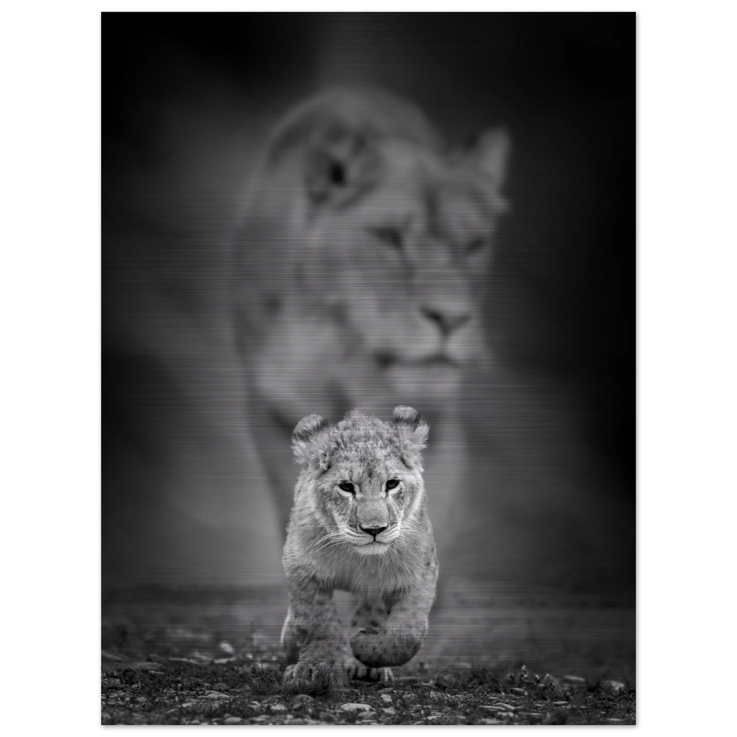 b2495328-3d83-4c59-899a-96fe71bf3b2d