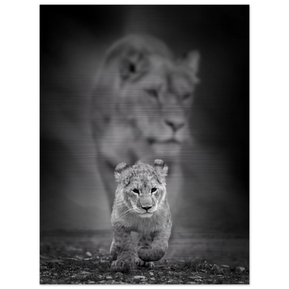 b2495328-3d83-4c59-899a-96fe71bf3b2d