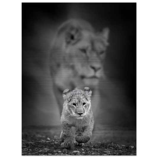 b2495328-3d83-4c59-899a-96fe71bf3b2d