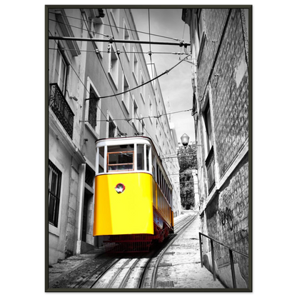 b9fa1c61-db33-4f2d-860d-cd9113ff38c6