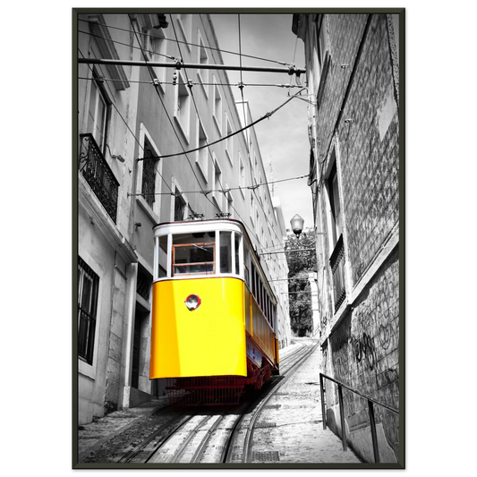 b9fa1c61-db33-4f2d-860d-cd9113ff38c6