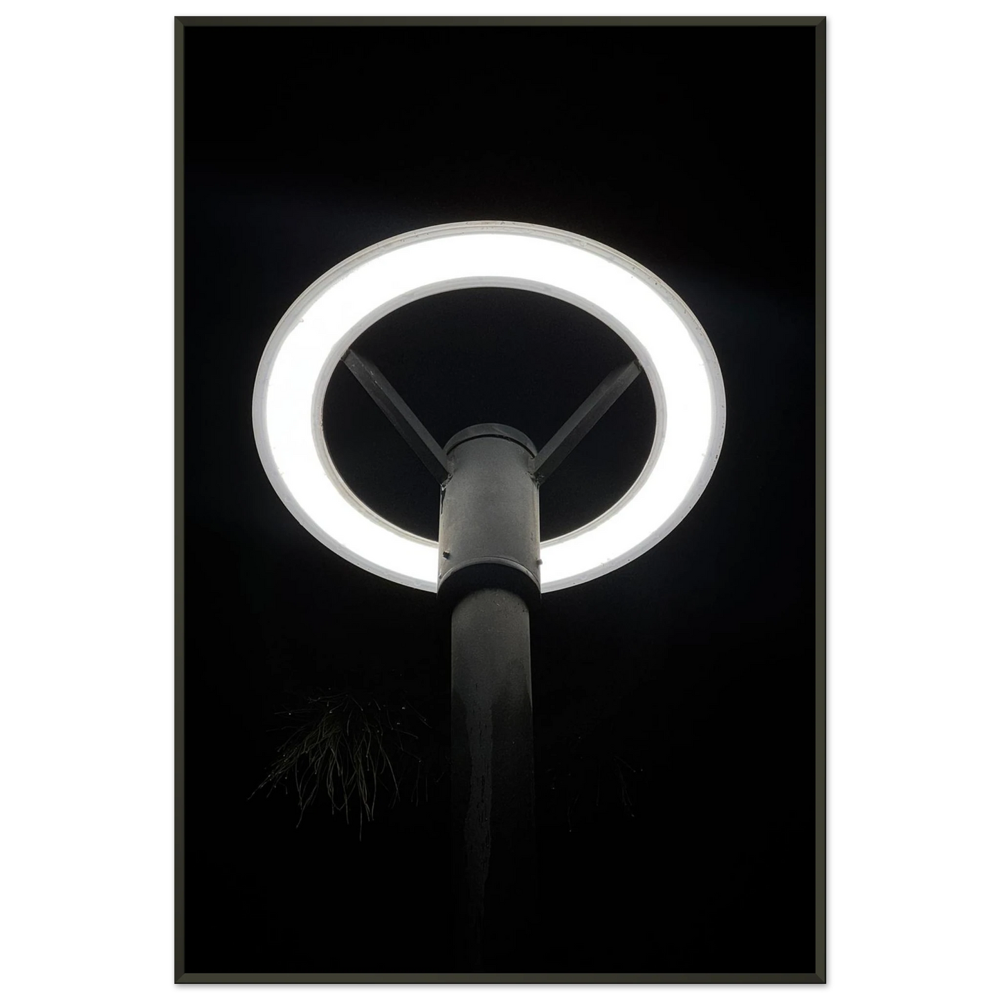 ba291645-7fa3-463c-9726-ea9575c5e83d