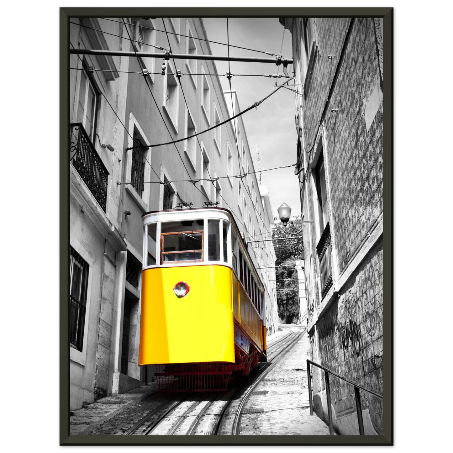 bb26492c-4b1a-41c1-99d8-9567b1894f4a