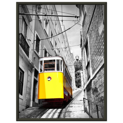 bb26492c-4b1a-41c1-99d8-9567b1894f4a