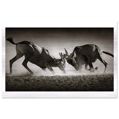 c24171b7-c9a9-4a35-9b4a-cd3451ed7d11