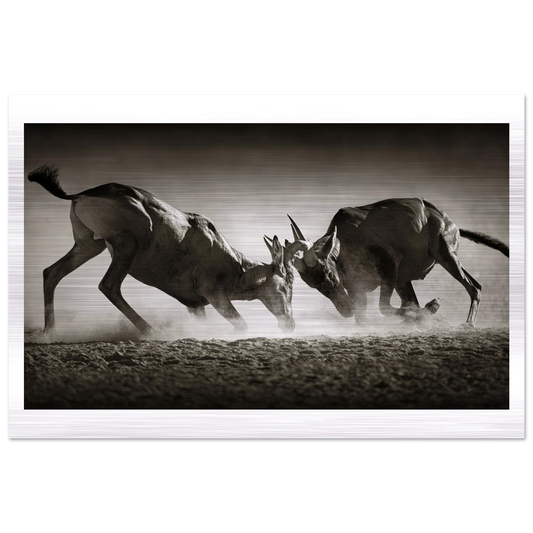 c24171b7-c9a9-4a35-9b4a-cd3451ed7d11