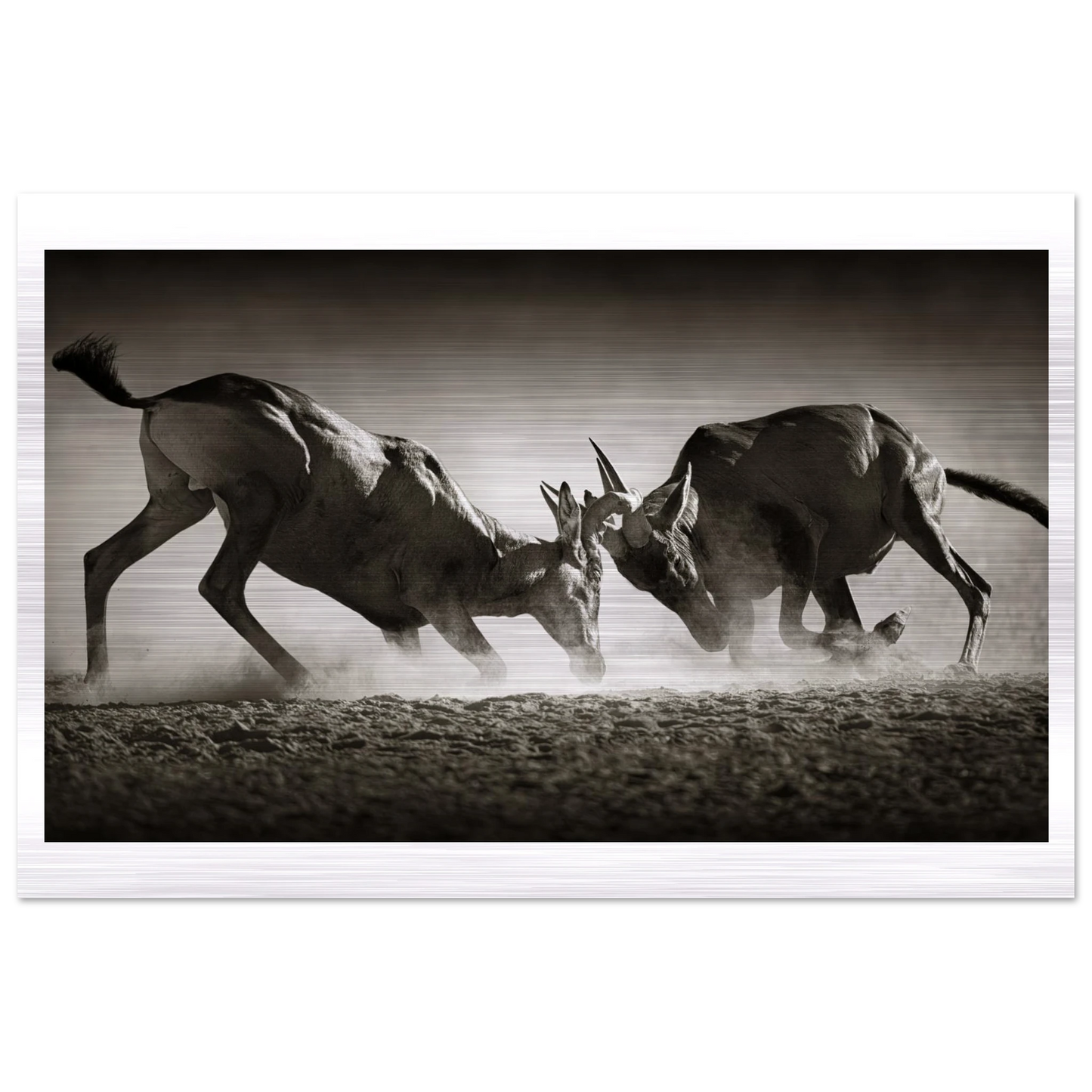 cf6701f2-c01d-4f52-b8bb-a2fa5c6c2ea3