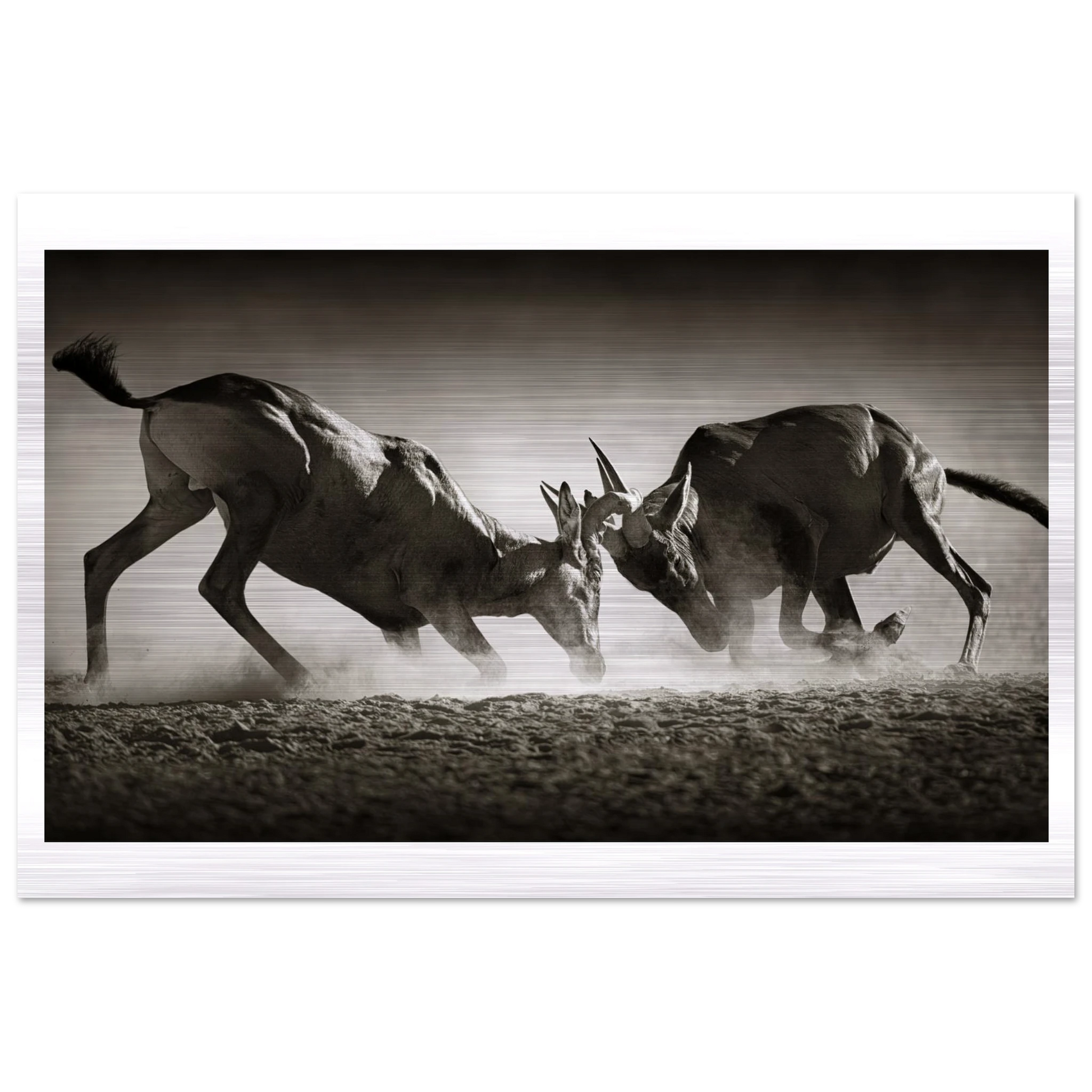 cf6701f2-c01d-4f52-b8bb-a2fa5c6c2ea3