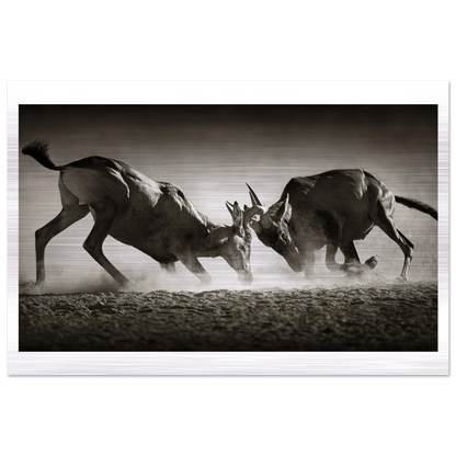 cf6701f2-c01d-4f52-b8bb-a2fa5c6c2ea3