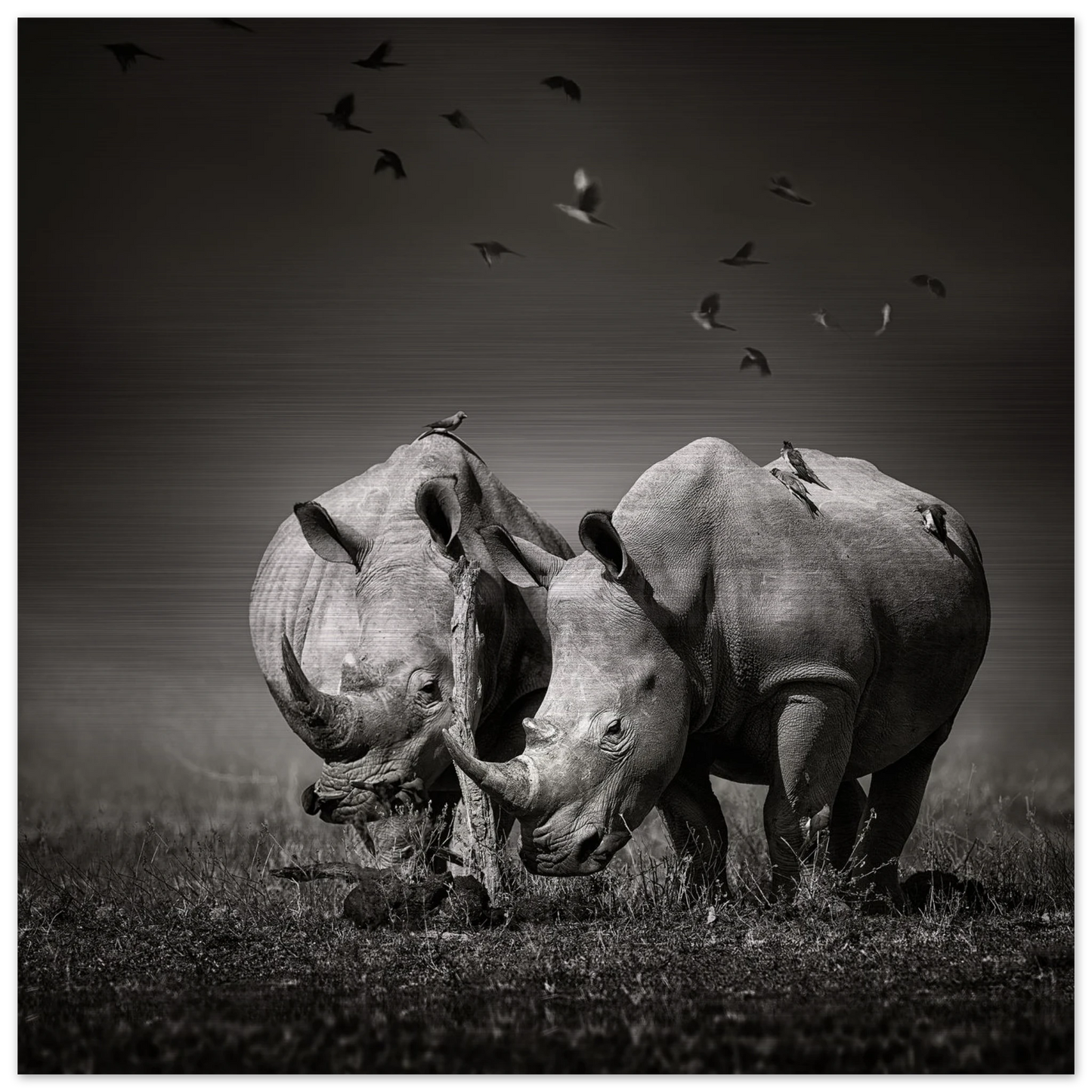 e66b00c1-5391-4018-8842-72873b3f4dcd