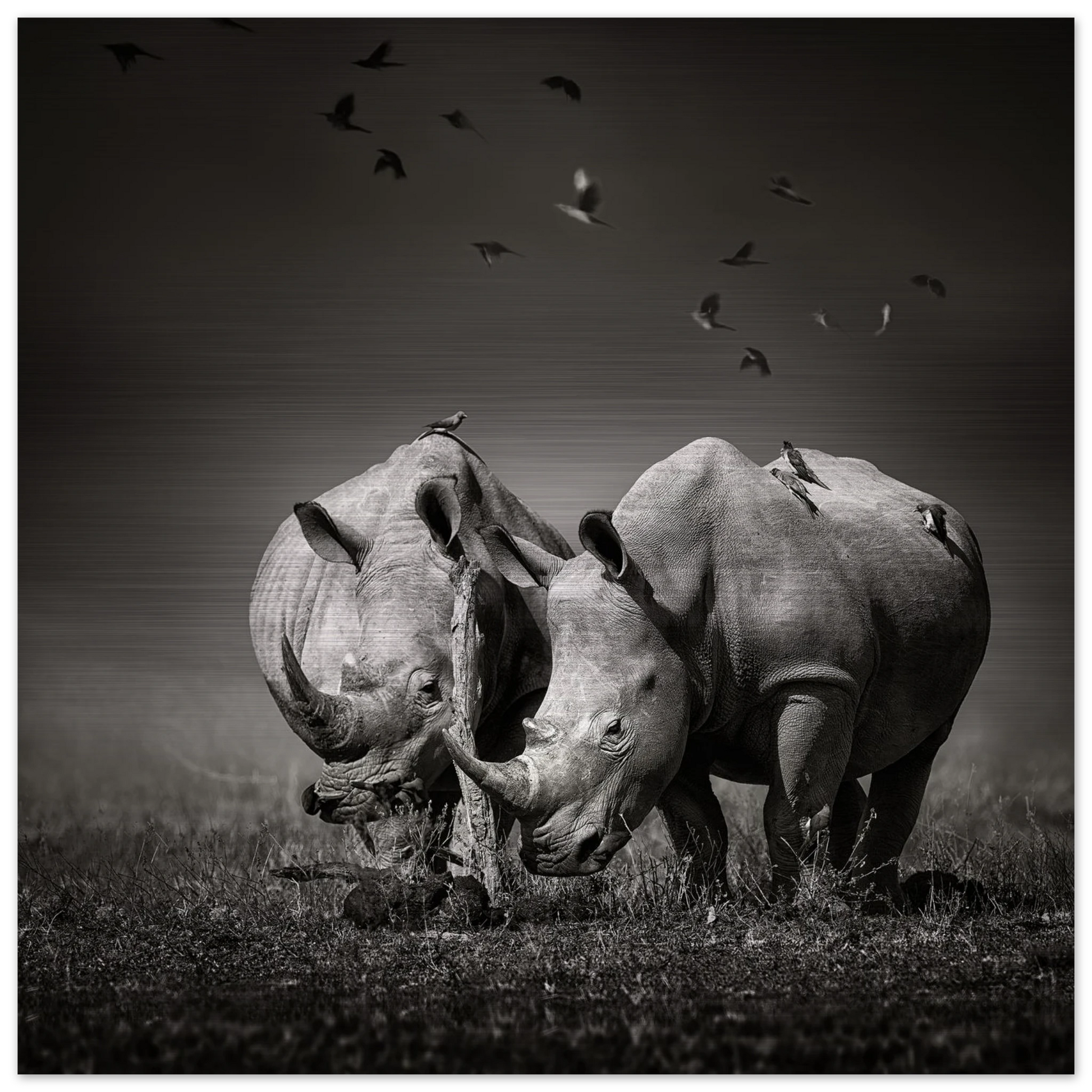 e66b00c1-5391-4018-8842-72873b3f4dcd