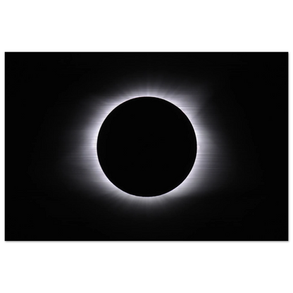 f31fdc55-0212-415e-a745-001f4325c74f