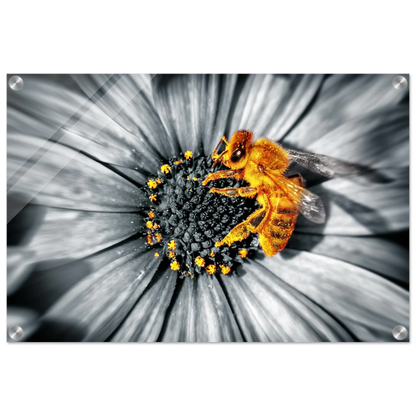 f3656130-4f04-49ee-b369-3010f30a7cb9